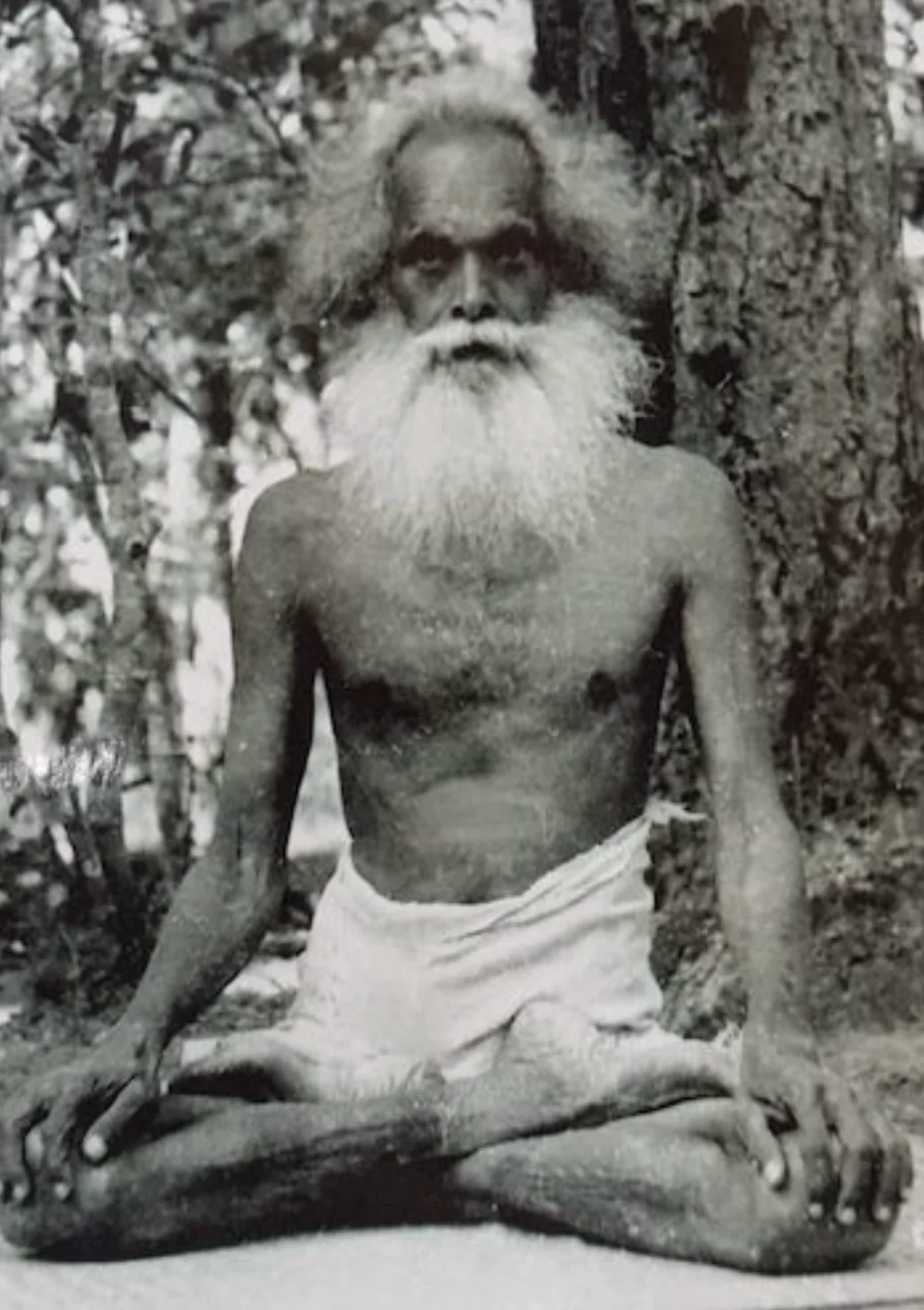 Shivapuri Baba